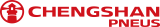 Logo Footer